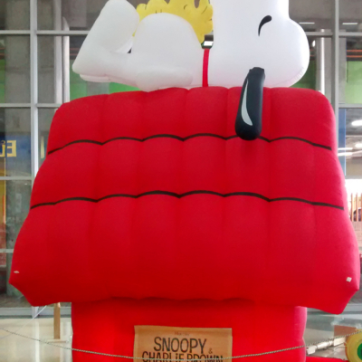 Casa Snoopy