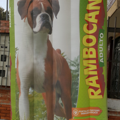 COlchon Rambocan