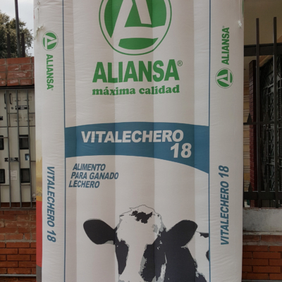 Colchon