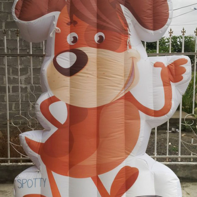 Dumi Pulpex