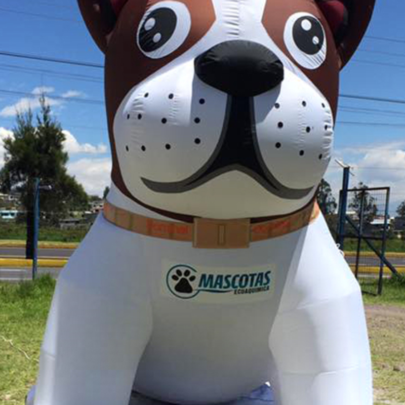 Perro