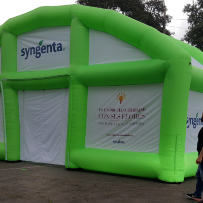 Carpa