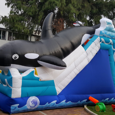 Tobogan ballena