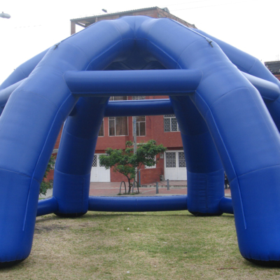 Carpa