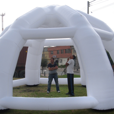 Carpa